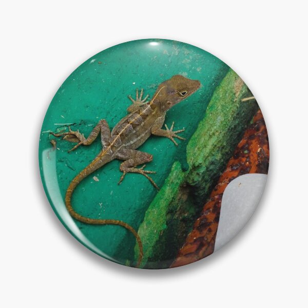 Item preview, Lizard with Rocks designed and sold by BirdyBirdy8.