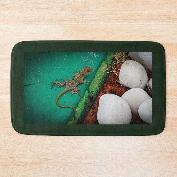 Item preview, Lizard with Rocks designed and sold by BirdyBirdy8.