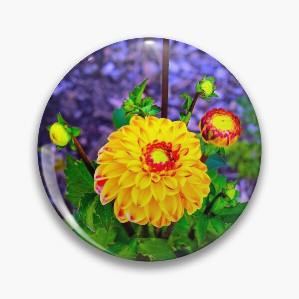 Item preview, Dahlia Flowers designed and sold by Beth Johnson.