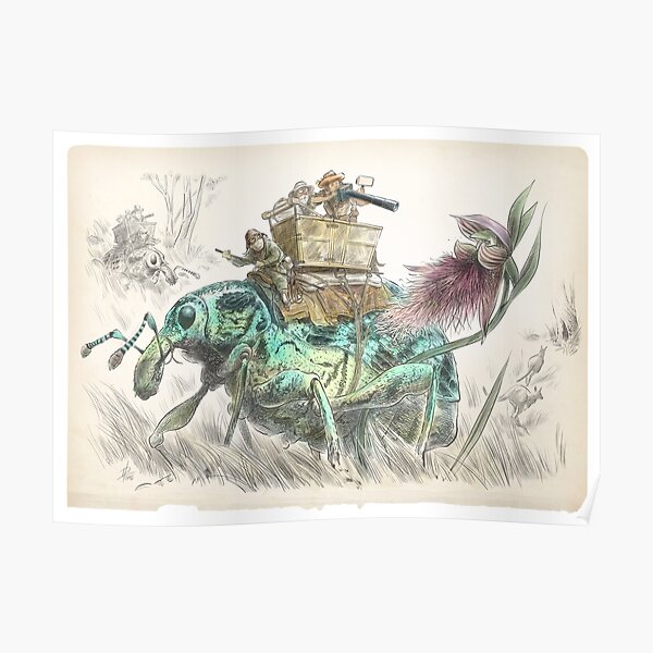 Black Mountain orchid hunters Poster