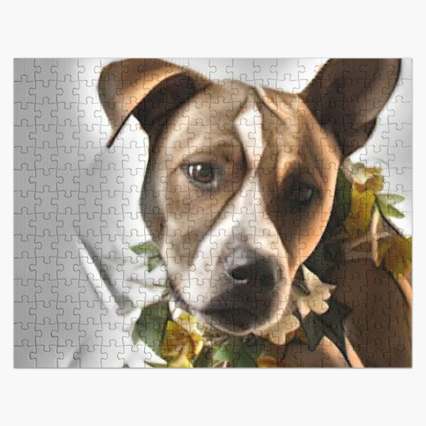 Pitbull, Black and White, Life is Better (19x27 inches, Premium 500 Piece Jigsaw  Puzzle for Adults and Family, Made in USA) 