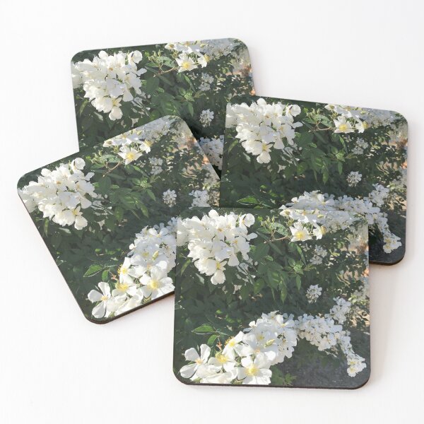 Item preview, White Morning Flowers designed and sold by carolinecourter.