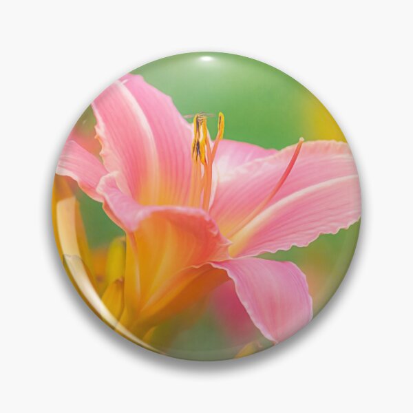 Item preview, Oporto Daylily With Hoverfly designed and sold by Photo Art By Anita.