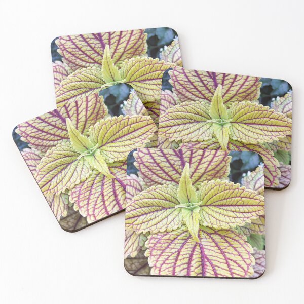 Item preview, Coleus Garden plants Nature designed and sold by Tanja Dianova.