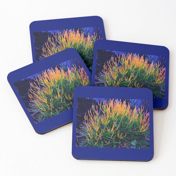 Item preview, Colorful Succulent plant photo designed and sold by HeatherEthereal.