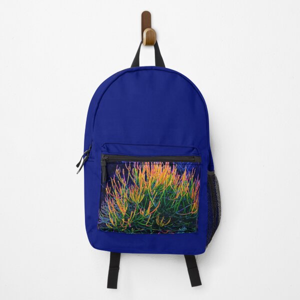 Item preview, Colorful Succulent plant photo designed and sold by HeatherEthereal.