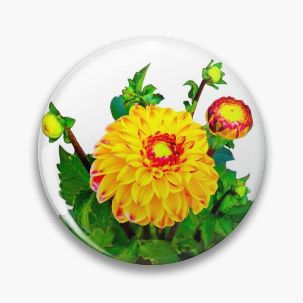 Item preview, Orange Dahlia Transparent designed and sold by Beth Johnson.