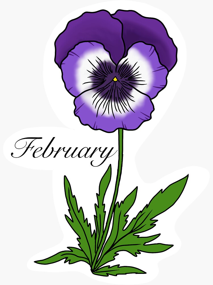 february-birth-flower-illustration-sticker-for-sale-by-meghan0523