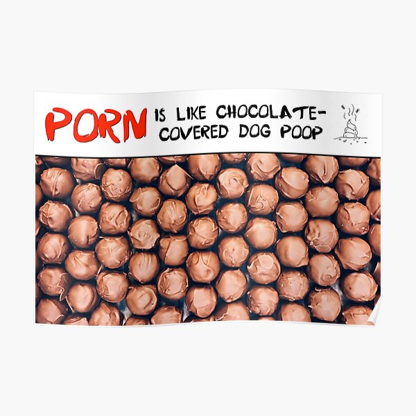Porn is Like Chocolate-Covered Dog Poop - 2 Poster