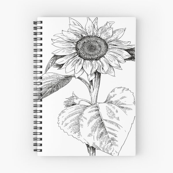 Item preview, Sunflower plant gift Sunflower plant gift designed and sold by TshirtFuchs.