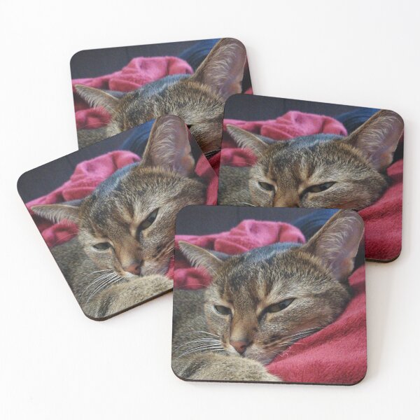 Item preview, Photo, cat, favorite cat, pet designed and sold by fuzzyfox.