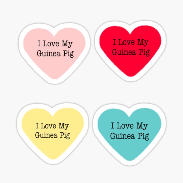 I love my guinea pig sticker pack Sticker