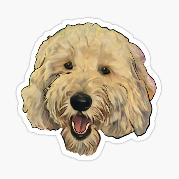 Potter Sticker