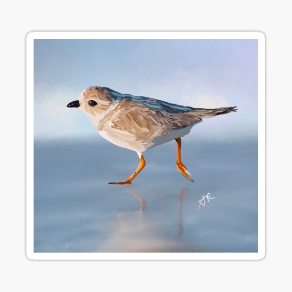 Bird Illustration Sticker