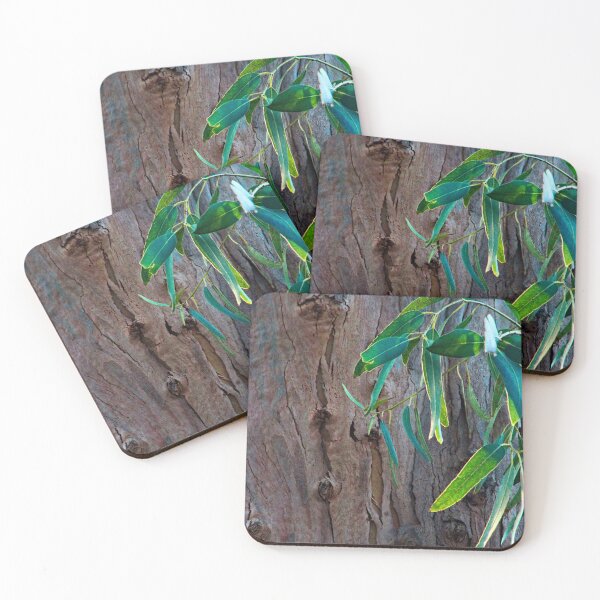 Item preview, Eucalyptus Gum Tree Trunk Branche Detail designed and sold by worldways.