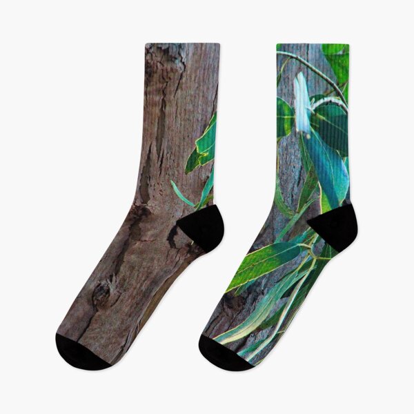 Item preview, Eucalyptus Gum Tree Trunk Branche Detail designed and sold by worldways.
