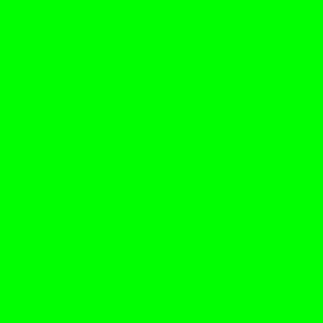 neon green screen, bright solid color cool body pillow