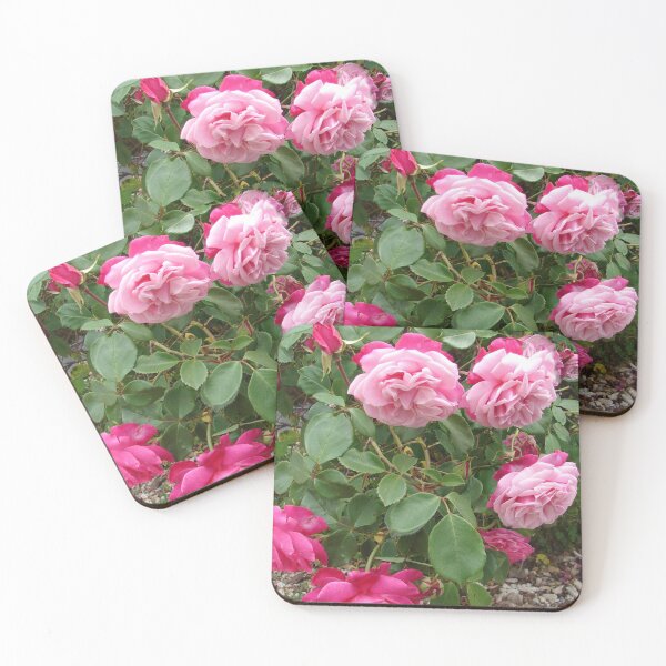 Item preview, Pink Vintage Rose Flower Photo designed and sold by Sarah  Rajkotwala.