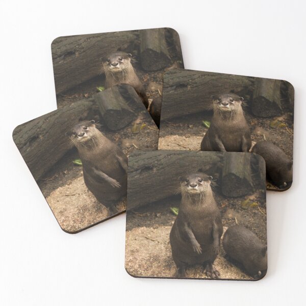Item preview, Asian Small-Clawed Otter designed and sold by heyiitshaleyy.