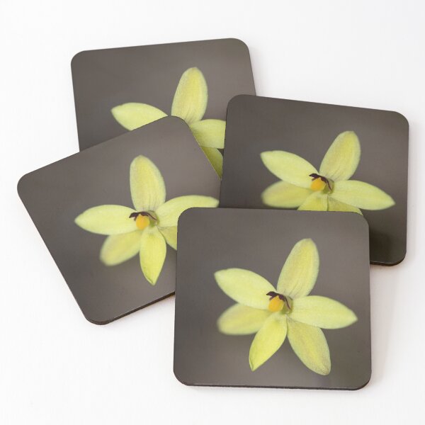 Item preview, Vanilla Sun Orchid designed and sold by gwenthewren.