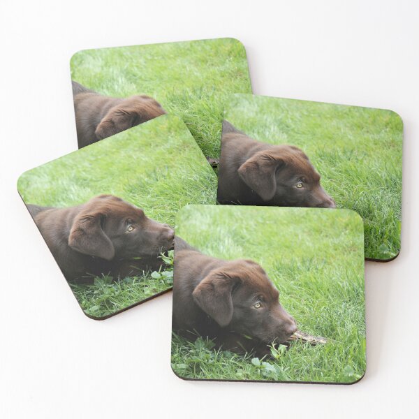 Item preview, Chocolate Lab Puppy in the Grass designed and sold by Melissablackjpg.