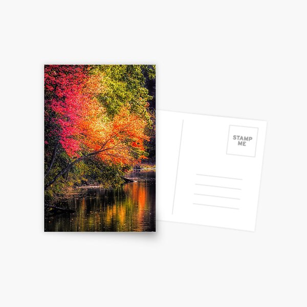 Item preview, Foliage over Forge Pond designed and sold by Photo Art By Anita.