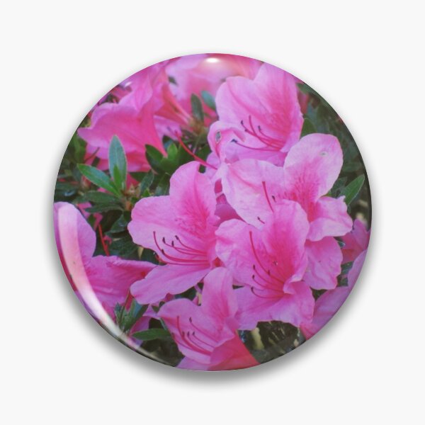 Item preview, Pink Flowers designed and sold by aepphotographs.