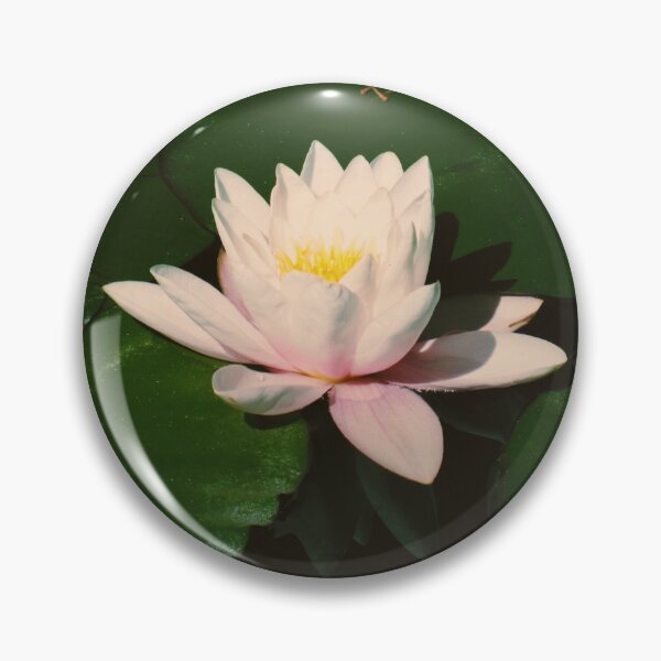 Item preview, Pink Lotus designed and sold by aepphotographs.