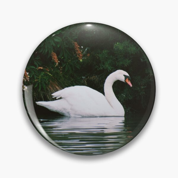 Item preview, Swan designed and sold by aepphotographs.