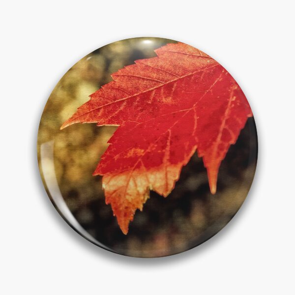 Artikelvorschau, Herbst Gold entworfen und verkauft von Photo Art By Anita.