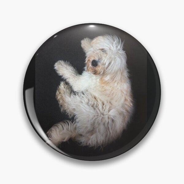 Item preview, Charley at 8 months designed and sold by Roz McQuillan Fine Art & Photography.
