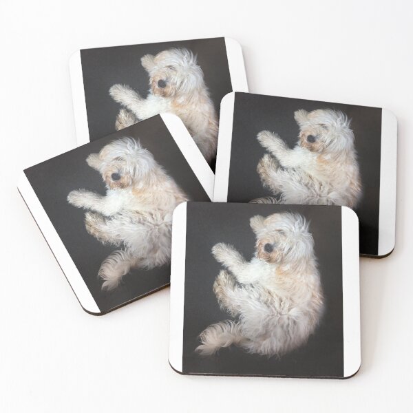 Item preview, Charley at 8 months designed and sold by Roz McQuillan Fine Art & Photography.