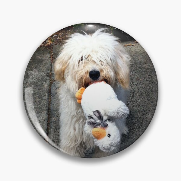 Item preview, I Found this Duck... designed and sold by Roz McQuillan Fine Art & Photography.