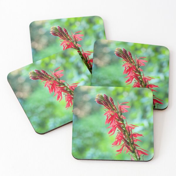 Item preview, Cardinal Flower in its Glory designed and sold by Photo Art By Anita.