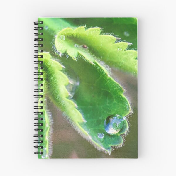 Item preview, Water Droplets on Lady's Mantle designed and sold by Photo Art By Anita.