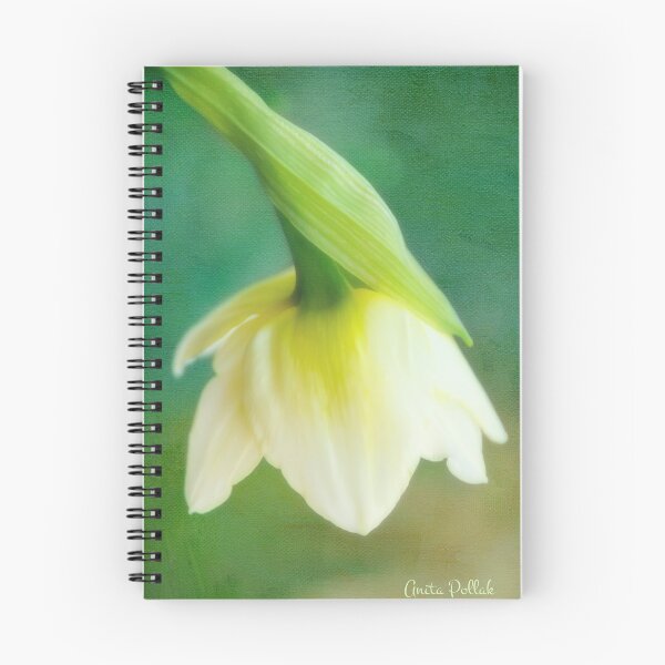 Item preview, Demure Daffodil designed and sold by Photo Art By Anita.
