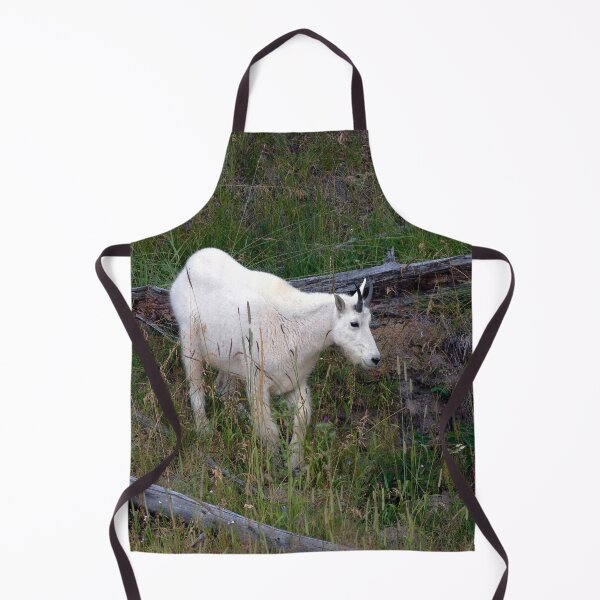 Watercolor Mountain Goat 22, Yellowstone, Wyoming Apron