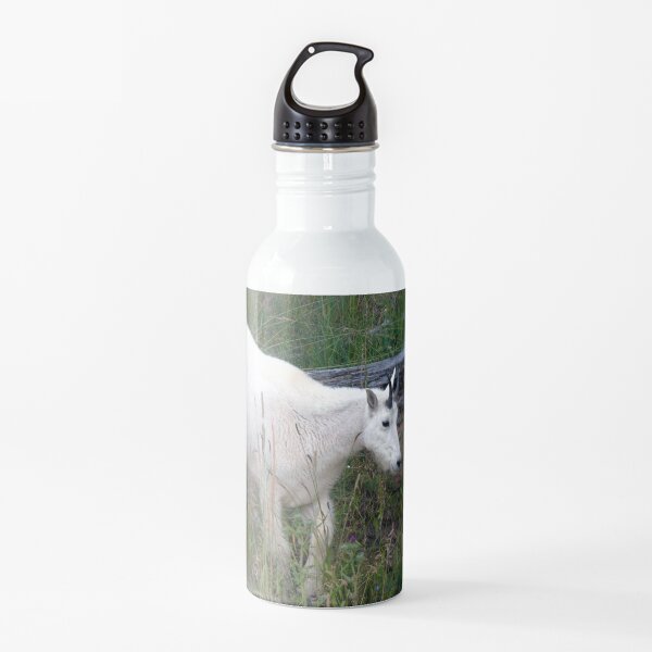 Watercolor Mountain Goat 22, Yellowstone, Wyoming Water Bottle