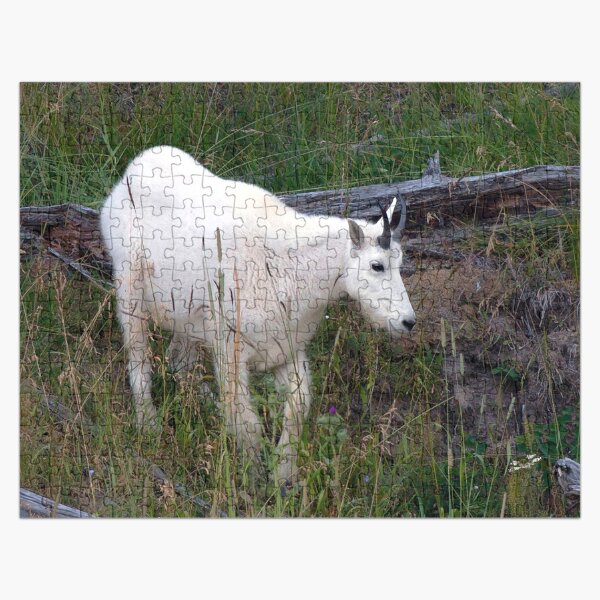Watercolor Mountain Goat 22, Yellowstone, Wyoming Jigsaw Puzzle