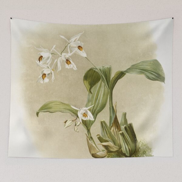 Item preview, Reichenbachia: Orchids Illustrated and Described designed and sold by EsotericBotanic.