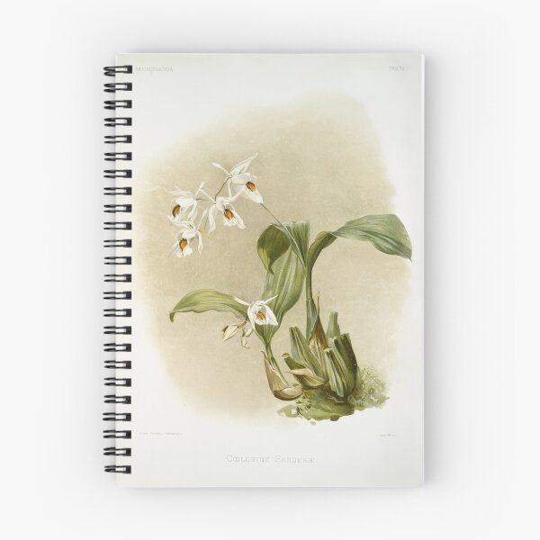 Item preview, Reichenbachia: Orchids Illustrated and Described designed and sold by EsotericBotanic.