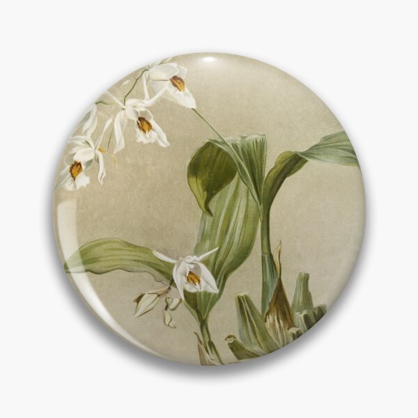 Item preview, Reichenbachia: Orchids Illustrated and Described designed and sold by EsotericBotanic.