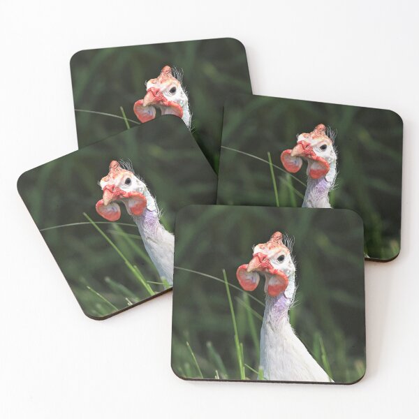 Item preview, White Male Guinea Fowl designed and sold by NicoleFrederick.