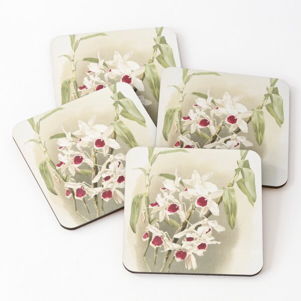 Item preview, Reichenbachia: Orchids Illustrated and Described designed and sold by EsotericBotanic.