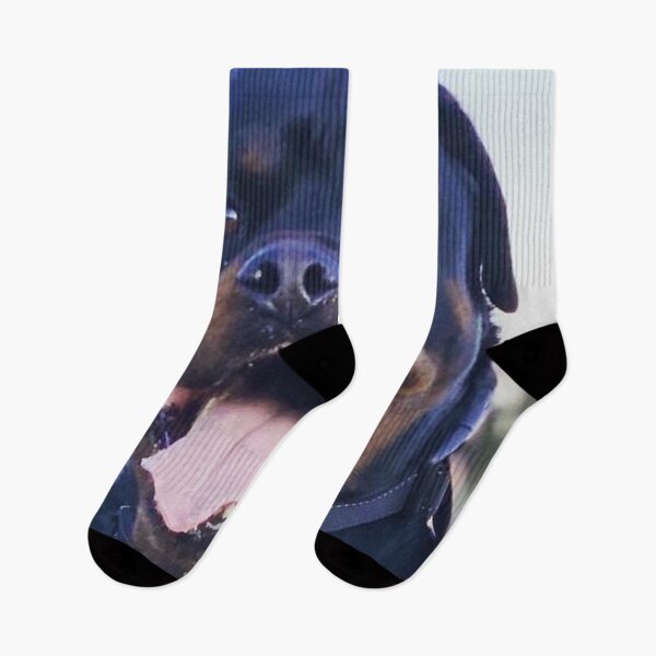 Item preview, Rottweiler Pooch Smiling designed and sold by PLANTONE.