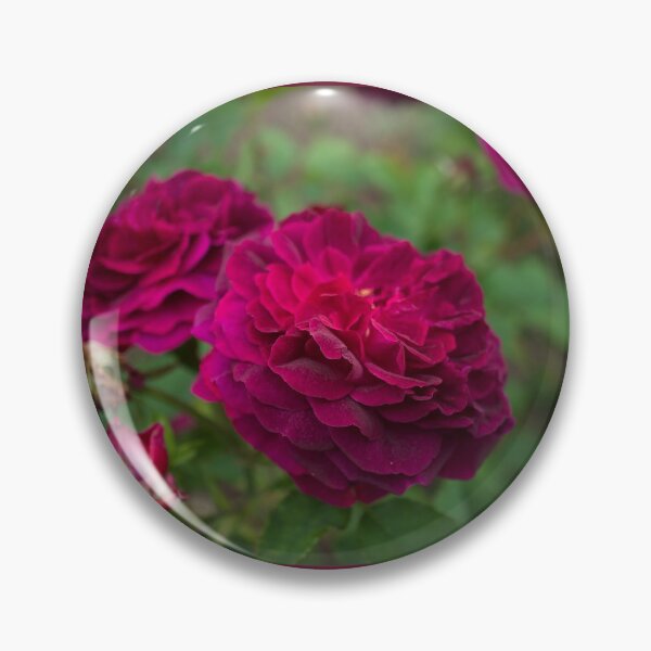 Item preview, Gallica Rose designed and sold by Alisonchambers2.