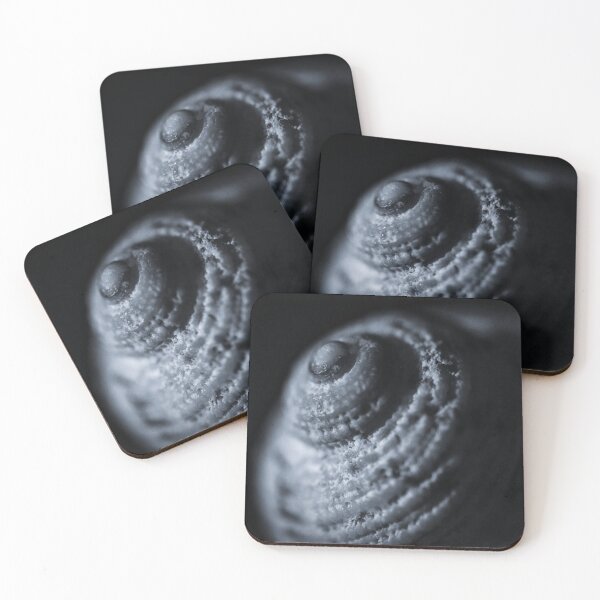 Item preview, Dark Spiral Snail Shell in Black and White designed and sold by gphotobox.
