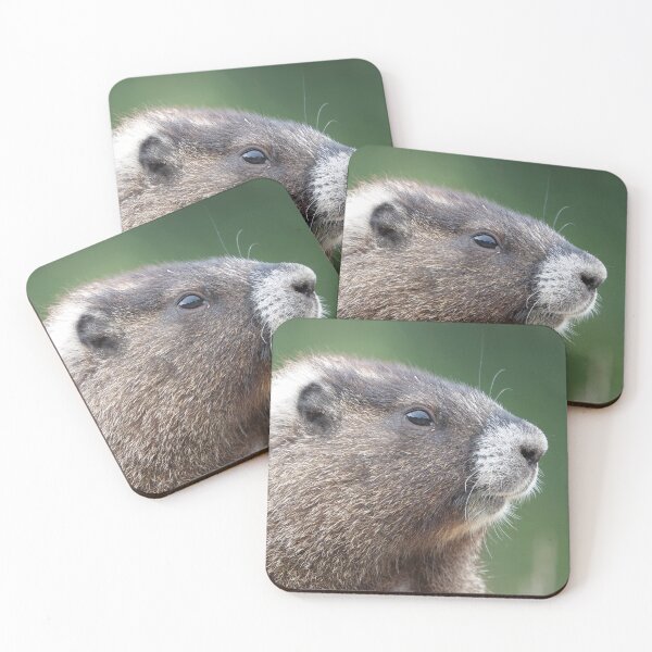 Item preview, Young marmot in Mount Rainier National Park designed and sold by SDym Photography.