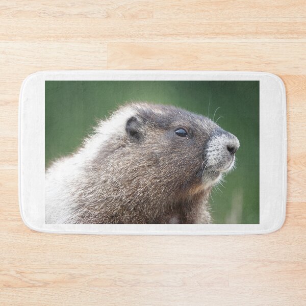 Item preview, Young marmot in Mount Rainier National Park designed and sold by SDym Photography.