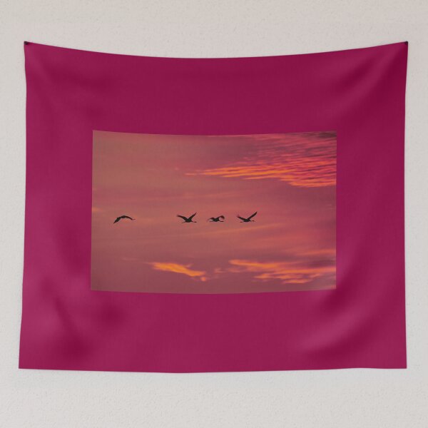 Item preview, All purple. Evening of the cranes designed and sold by Jouko Lehto Photography.